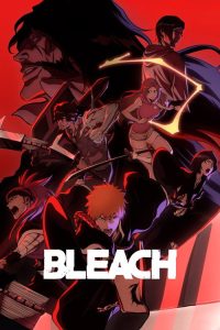 Bleach (2004) — TV anime series, 2004